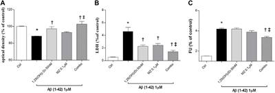 Effects of Vitamin D3 and Meso-Zeaxanthin on Human Retinal Pigmented Epithelial Cells in Three Integrated in vitro Paradigms of Age-Related Macular Degeneration